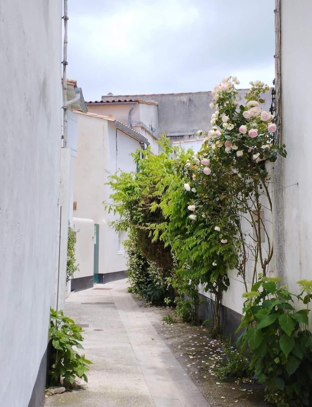 La Suite En Re Le Bois-Plage-en-Ré Exterior foto